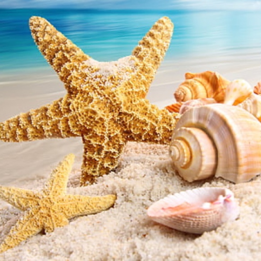 Meet your Posher, Iris